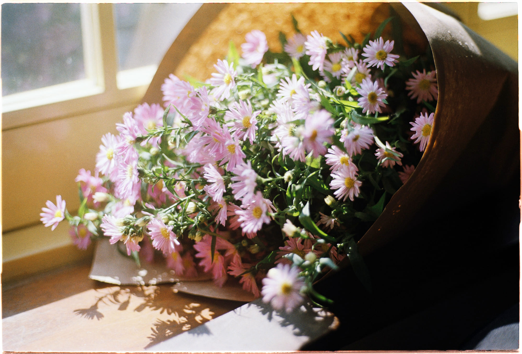 Sự nguy hiểm của cô đơn mà không phải ai cũng biết 215 – xa hoi hoc, tam ly hoc, tu duy, co don, tu duy nhan thuc, kieran setiya, co don nguy hiem.