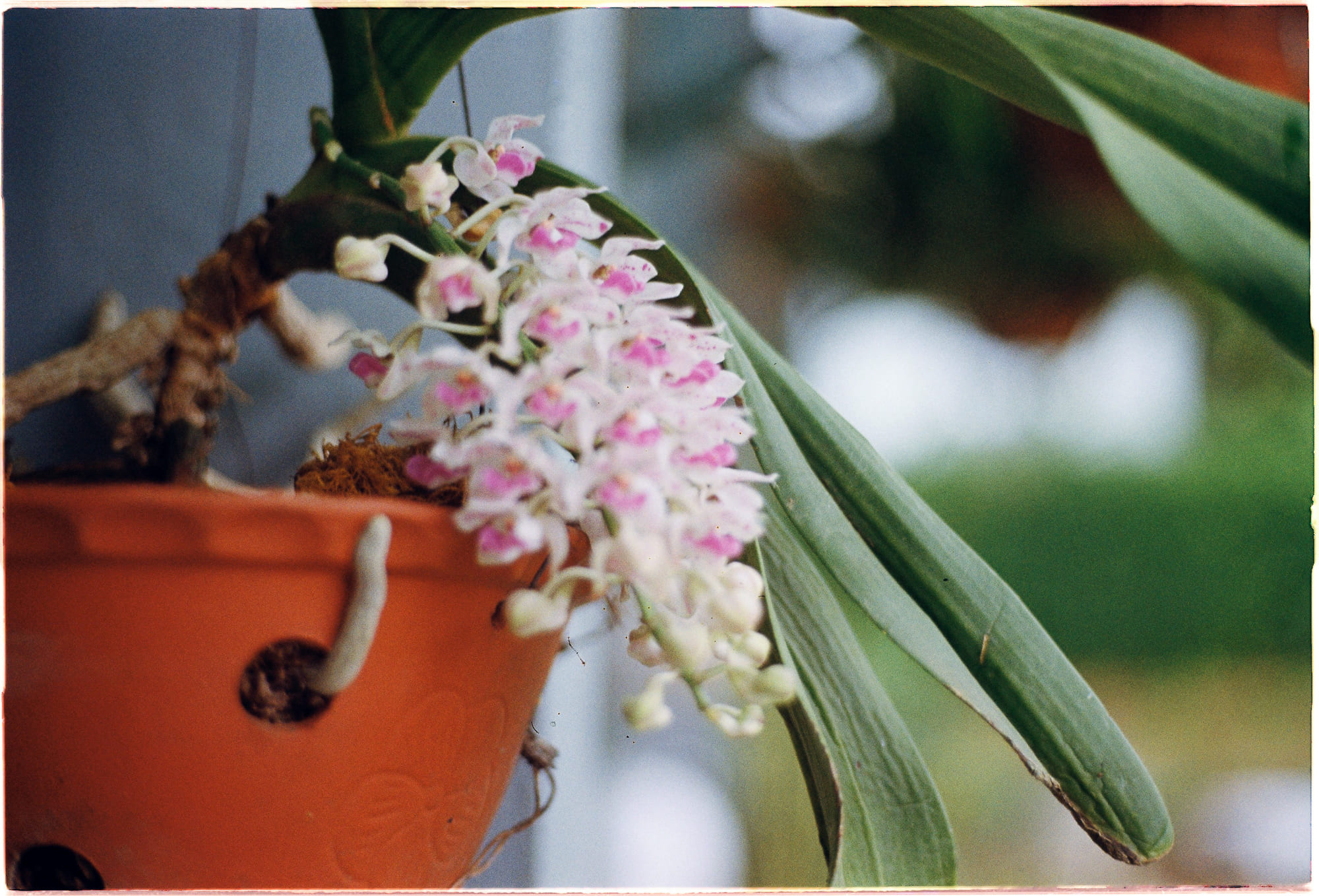 Các nền văn minh ngoài hành tinh kém tiên tiến hơn 377 – vat ly hoc, vat ly luong tu, vu tru hoc, oumuamua alienware, nen van minh vu tru.