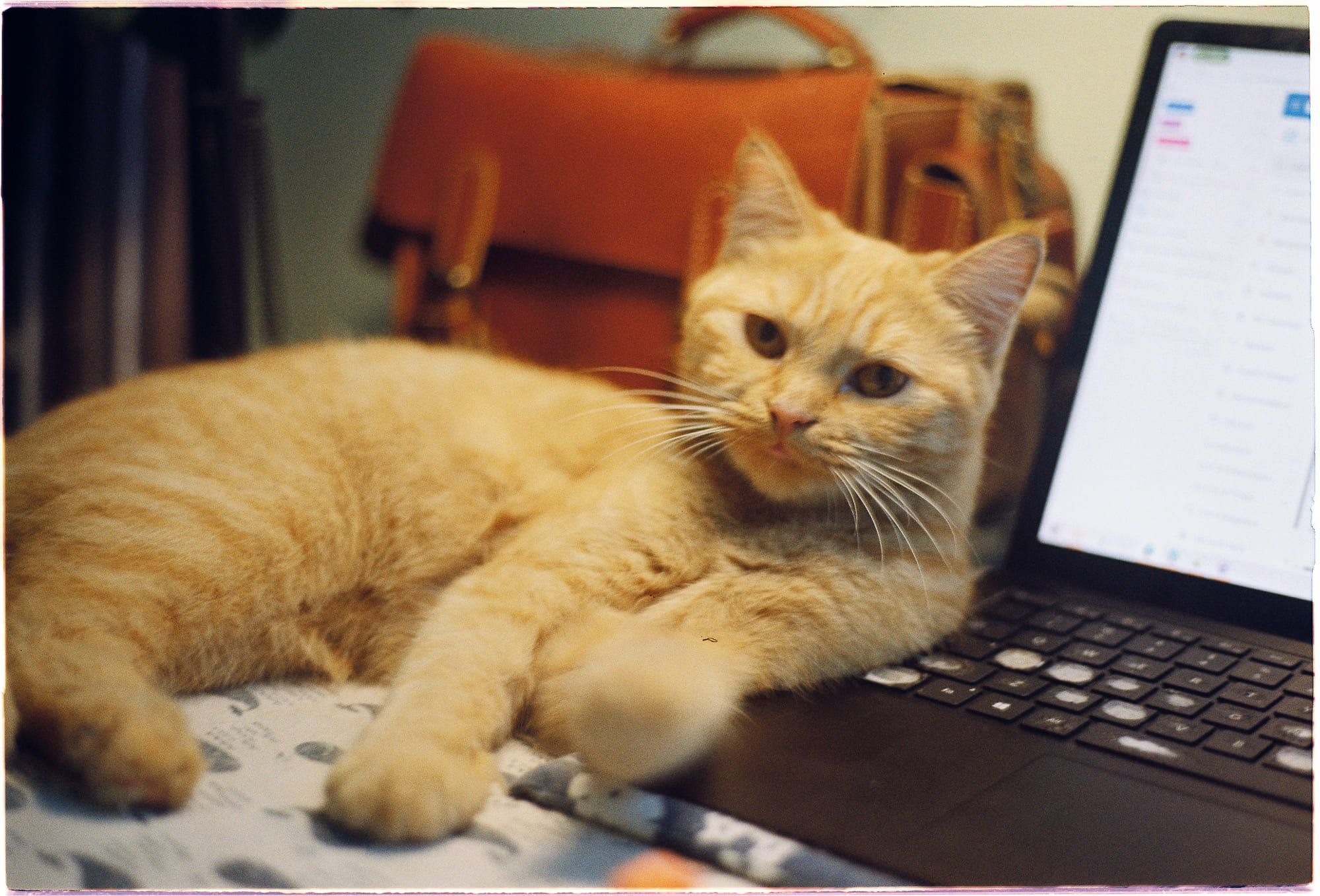 Sự kiện ngẫu nhiên định hình dòng chảy lịch sử 396 – xa hoi hoc, tam ly hoc, tu duy, ngau nhien, su kien ngau nhien, xac suat thong ke, tu duy nhan thuc.