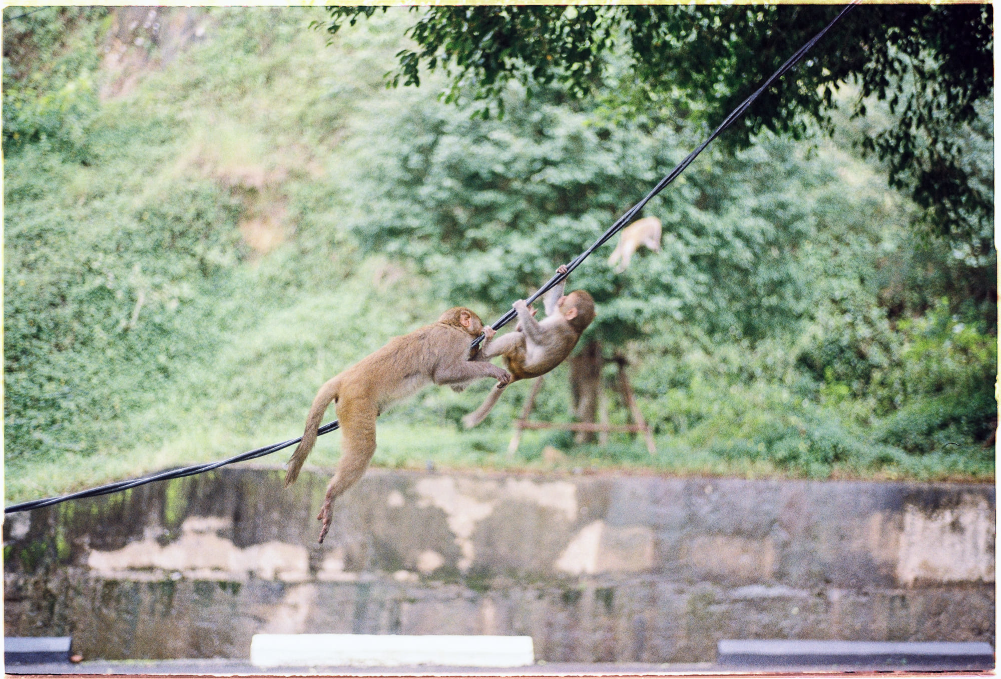 Vì sao tiền sử chờ lâu để bắt đầu văn minh Vì sao tiền sử chờ lâu để bắt đầu văn minh 501 – khoa hoc, lich su, the gossip trap, lich su loai nguoi, nghich ly sapient, sapient, modeling the human mind, the sapient behaviour paradox, nghich ly fermi, nghich ly van minh.