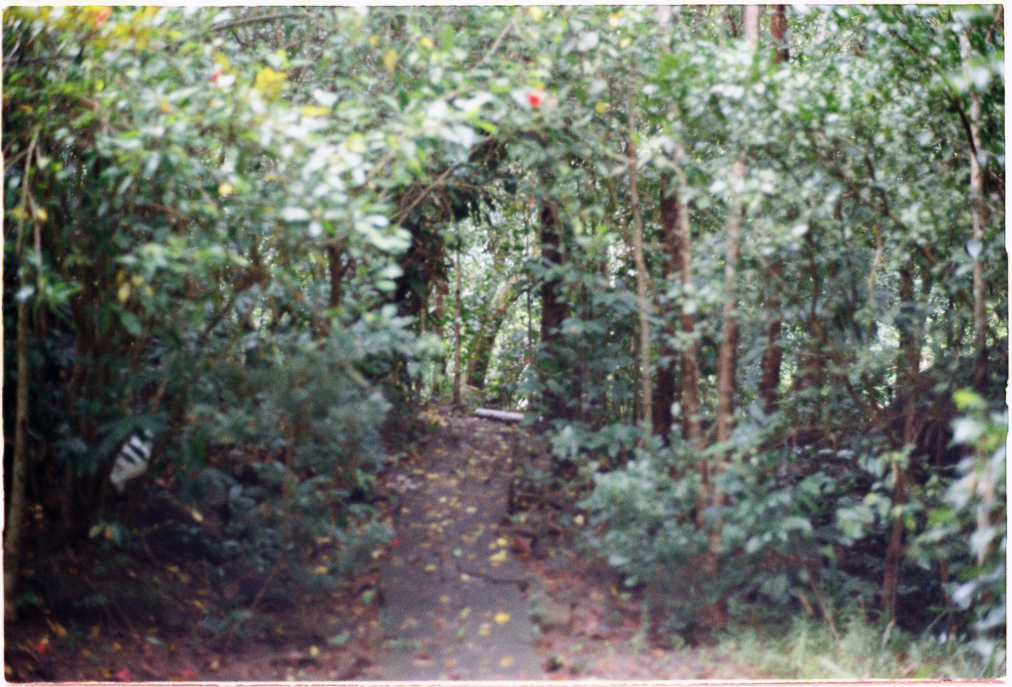 Ỷ thiên đồ long ký | Chương 35