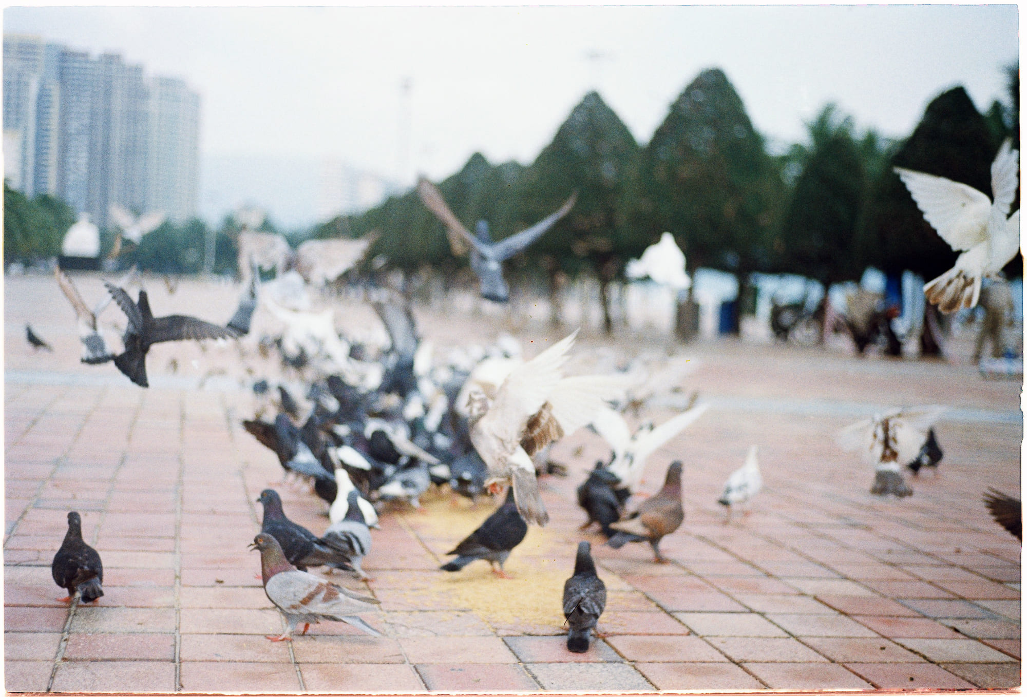 Tại sao âm nhạc tạo nên sự hưng phấn? 424 – nghien cuu khoa hoc, music marketing, marketing, tam ly hoc, am nhac, thuong thuc am thanh, am thanh, audiophile, audiophile equipment, audiophile headphones, highend audio, audiophile sound quality, audiophile music, hifi audio, audiophile dac, am nhac hung phan.