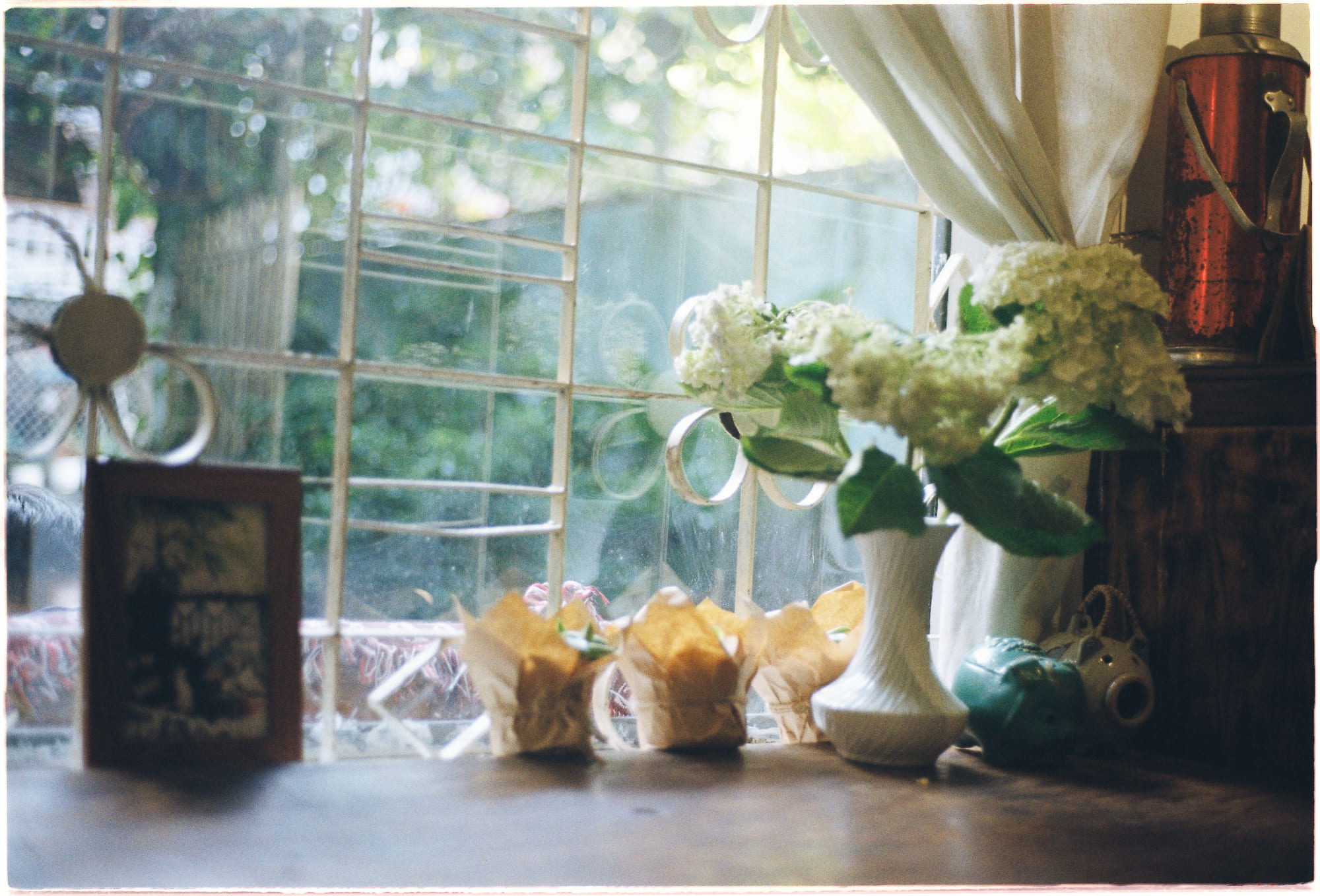 Khám phá là tất yếu hay ngẫu nhiên may mắn? 170 – khoa hoc, xac suat thong ke, kham pha, ngau nhien, tat yeu, telmo pievani, kham pha tat yeu.