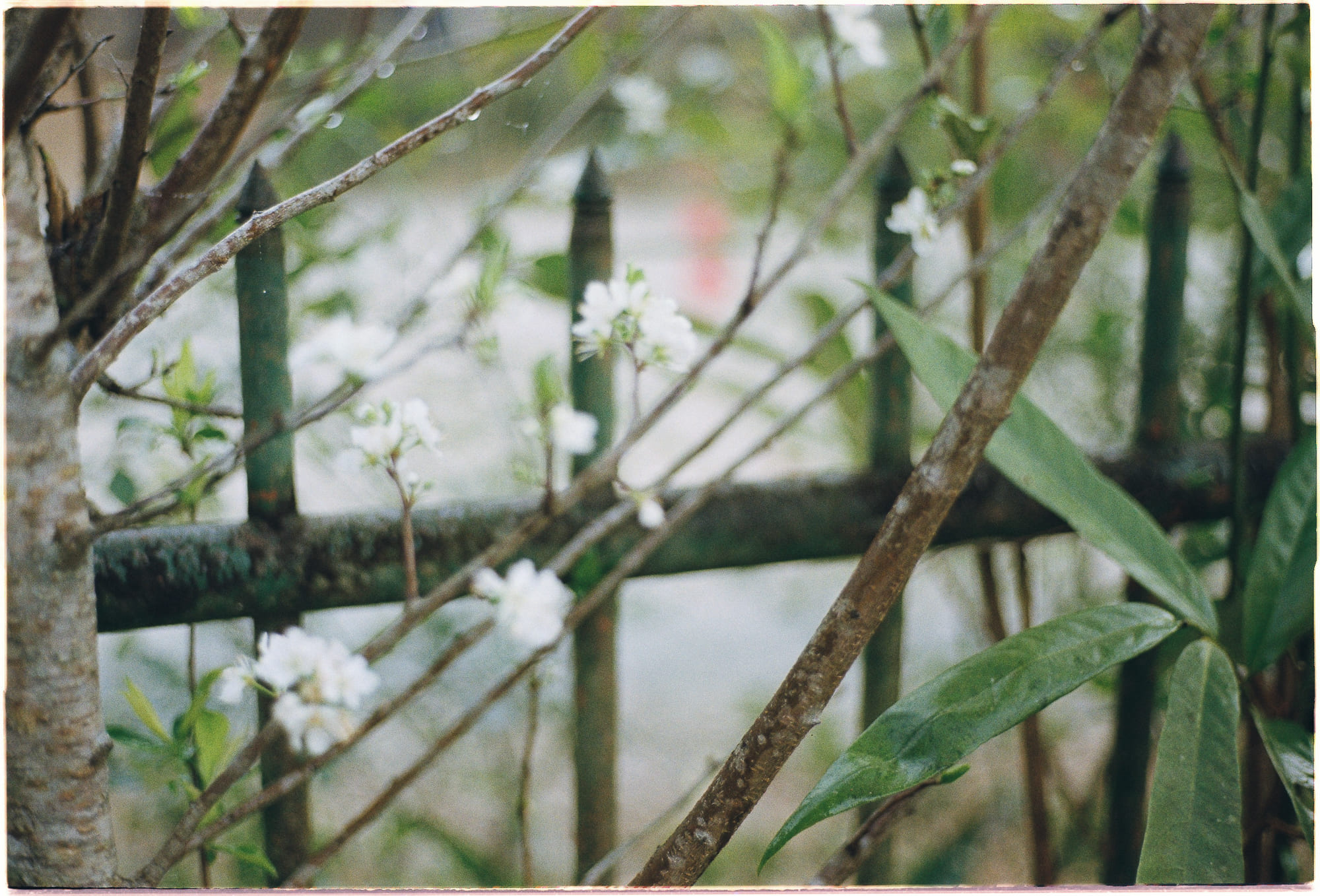 Chỉ còn 23% thiên nhiên hoang dã trên Trái Đất Chỉ còn 23% thiên nhiên hoang dã trên Trái Đất 283 – khoa hoc, sinh hoc, thien nhien, thien nhien hoang da, trai dat, hoang da bien mat.