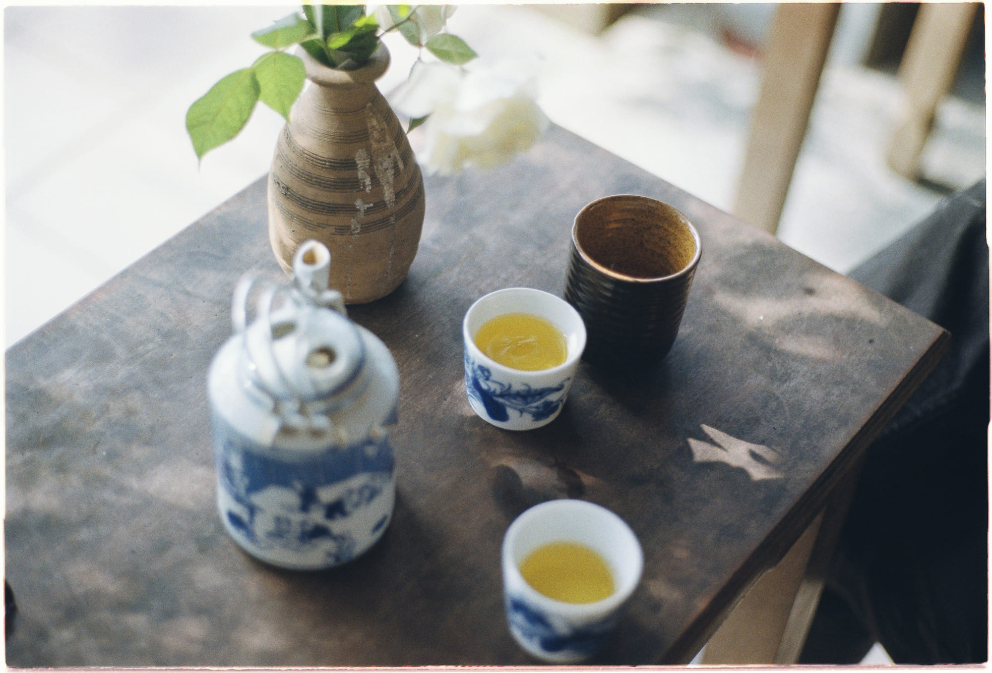 Tại sao thế giới cần đến cái chết để phát triển? 103 – khoa hoc, sinh hoc, cai chet, su song, ly do de chet, necrobiome, vai tro cai chet.