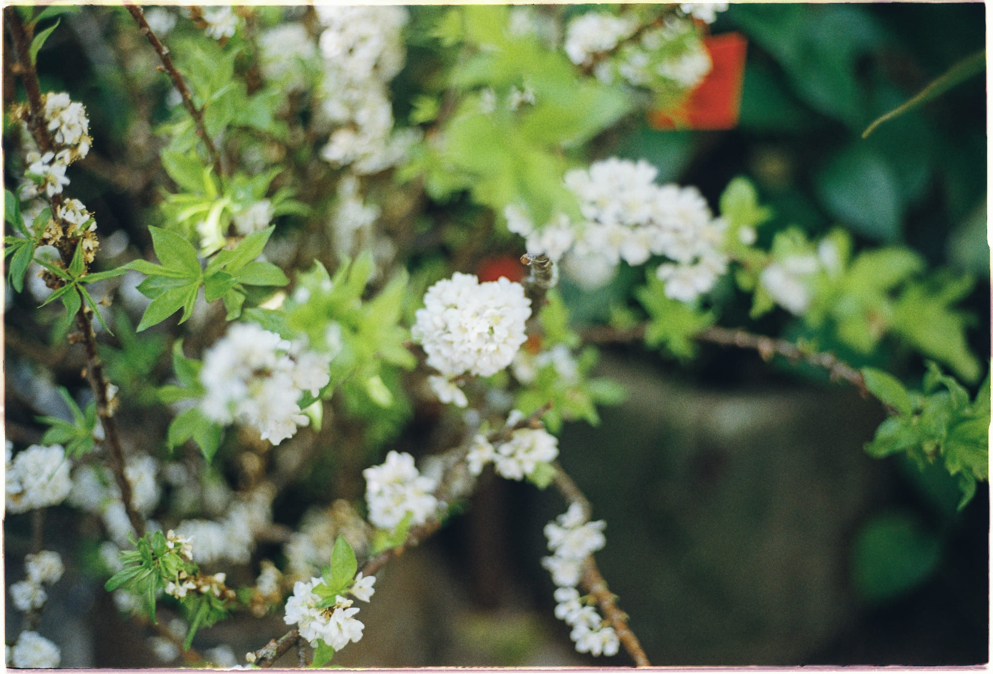 Biên niên ký chim vặn dây cót | Chương 12 881 – thu vien, van hoc, van hoc nhat ban, haruki murakami, bien nien ky chim van day cot, bien nien ky chim van day cot chuong 12, bien nien ky chim van day cot 12.