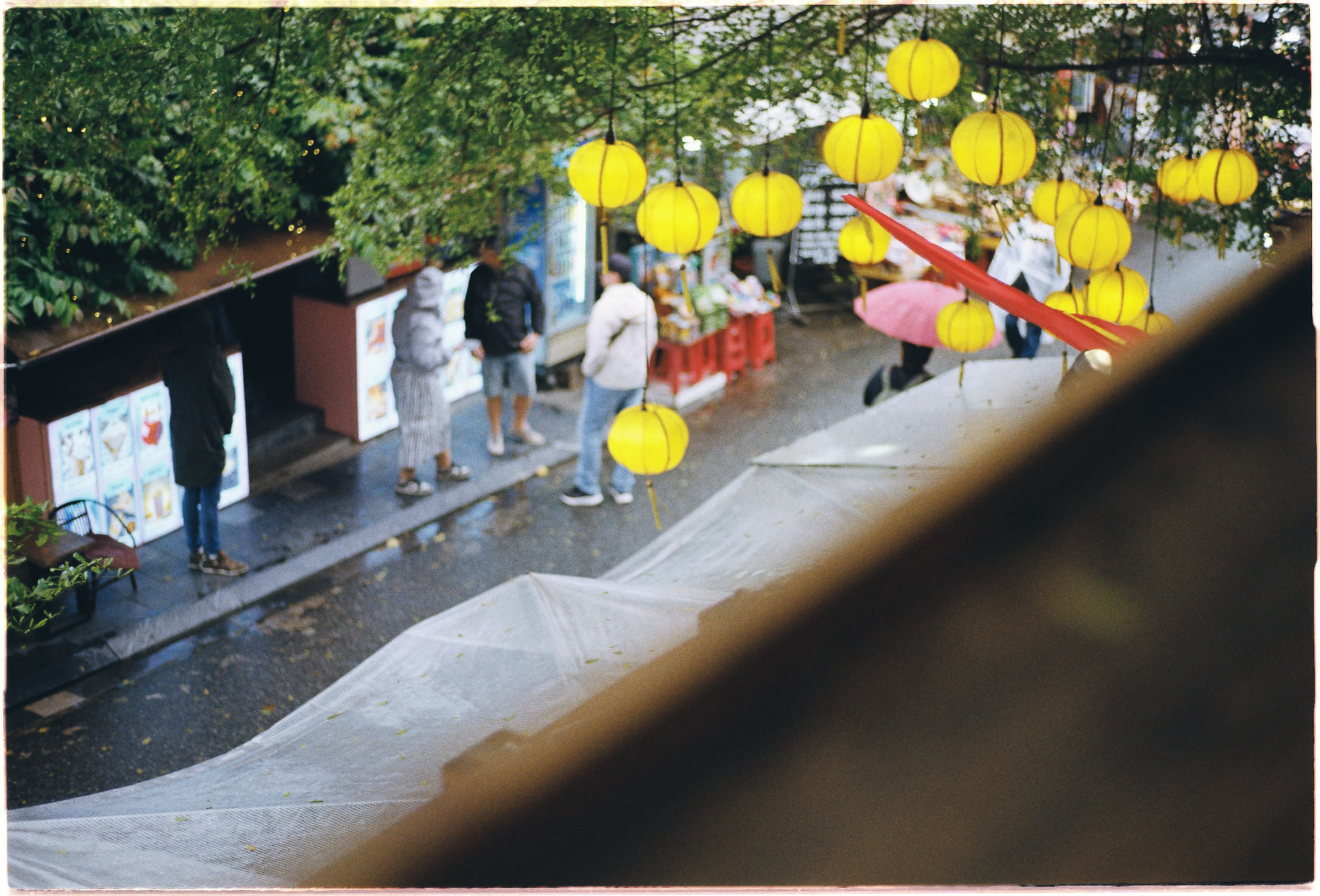 Liệu máu nóng có mở đường cho nhận thức không? Liệu máu nóng có mở đường cho nhận thức không? 998 – tam ly hoc, triet hoc, mau nong, mau lanh, nhan thuc, nicholas humphrey, sentience the invention of consciousness, blindsight, nhan thuc mau nong.