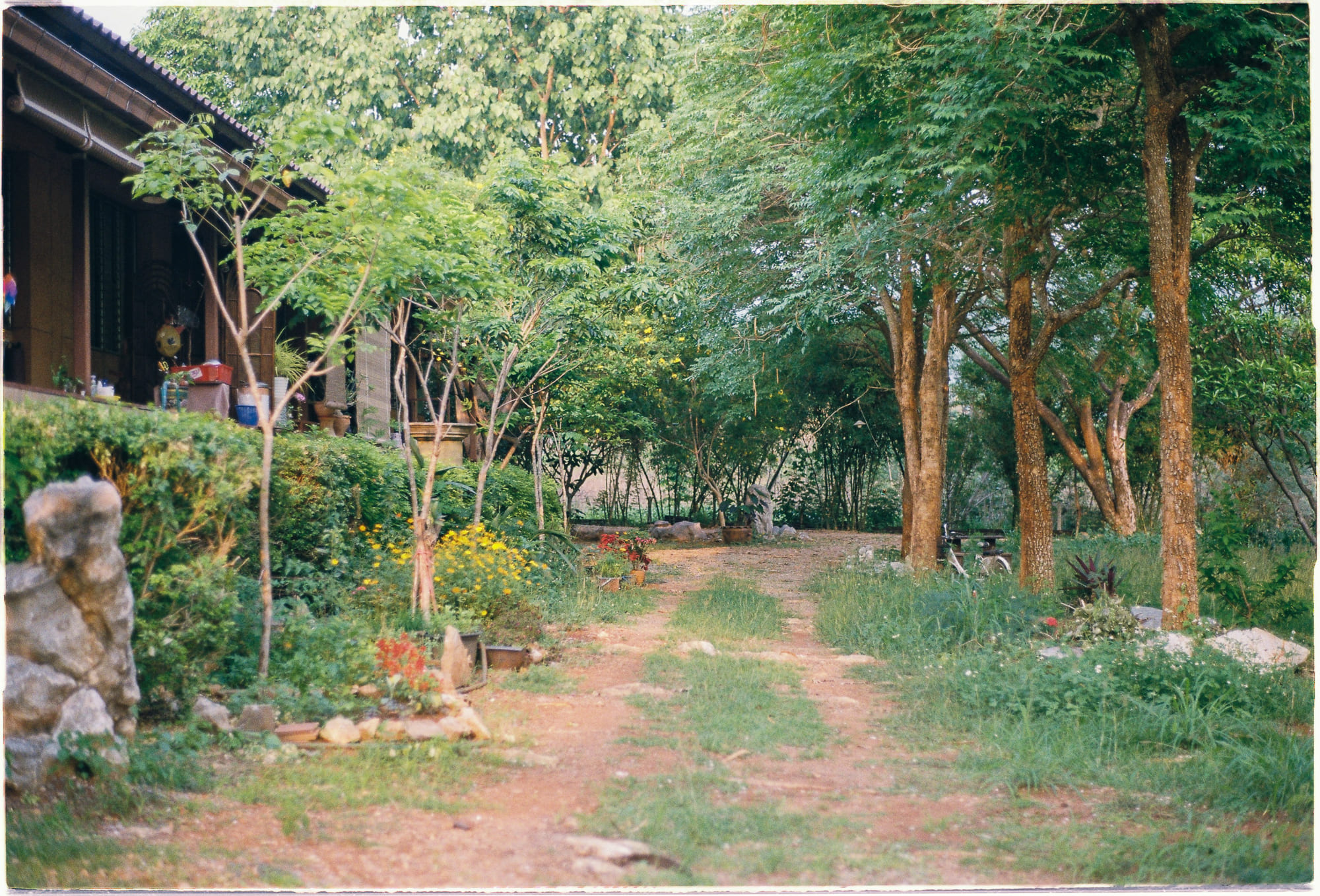 Đạo Phật đi vào cuộc đời | Chương 04