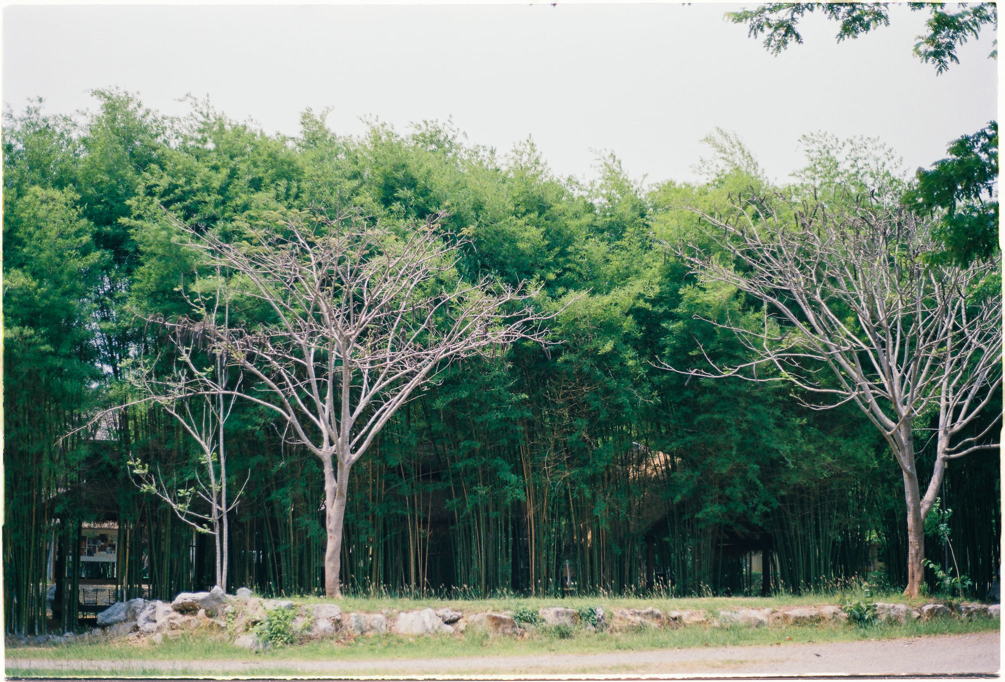 5 sự thật về tác động tích cực cho năm 2025 5 sự thật về tác động tích cực cho năm 2025 076 – phat trien ban than, khoa hoc, ky nang, ky nang chuyen mon, thanh cong, tam ly hoc, nhan thuc ban than, cai thien ban than, tac dong tieu cuc, tac dong tich cuc, broaden and build.