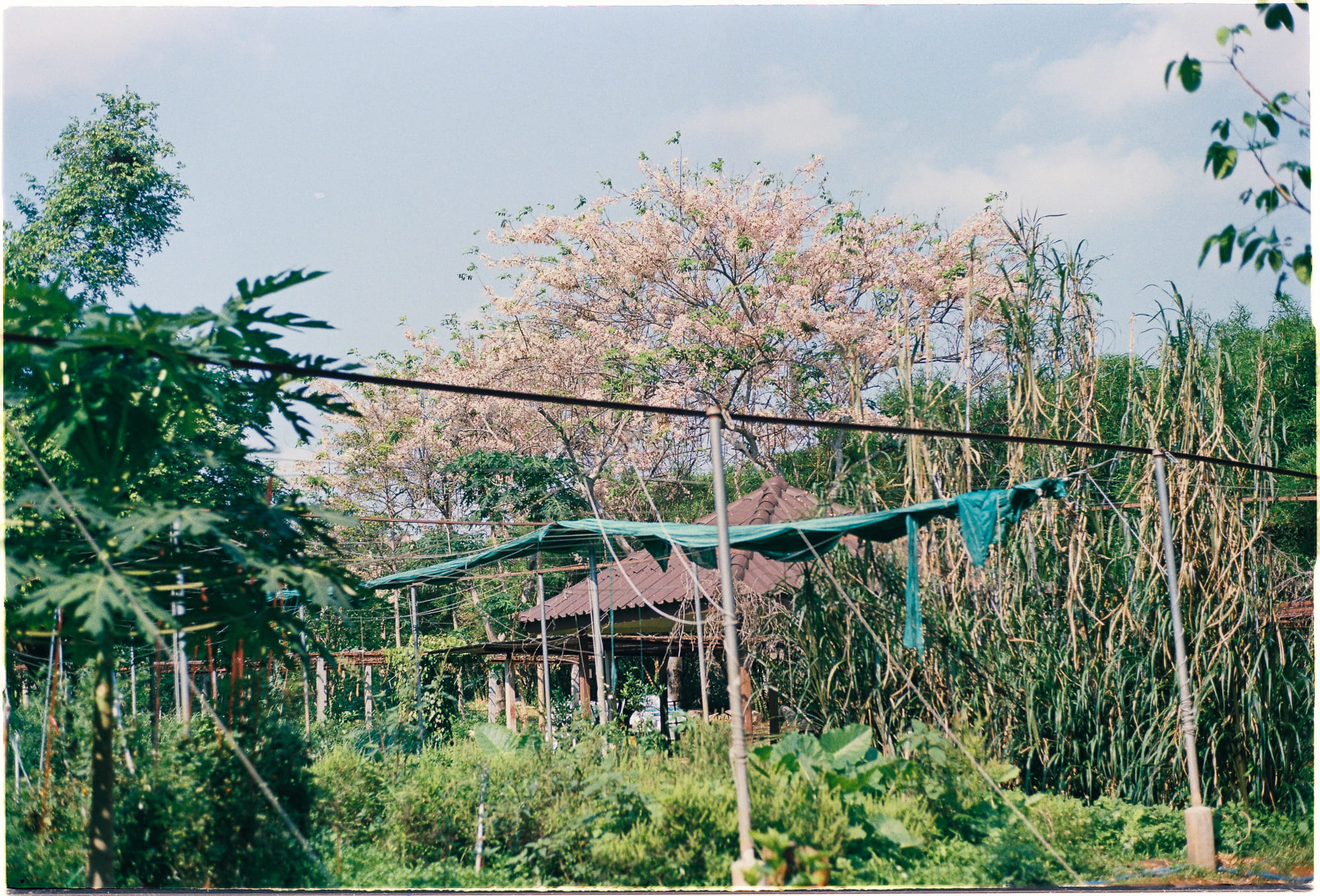 Học cách học hiệu quả hơn 254 – tam ly hoc, ton giao, hoc tap, kien thuc gian tiep, to mo, hoc tap hieu qua.