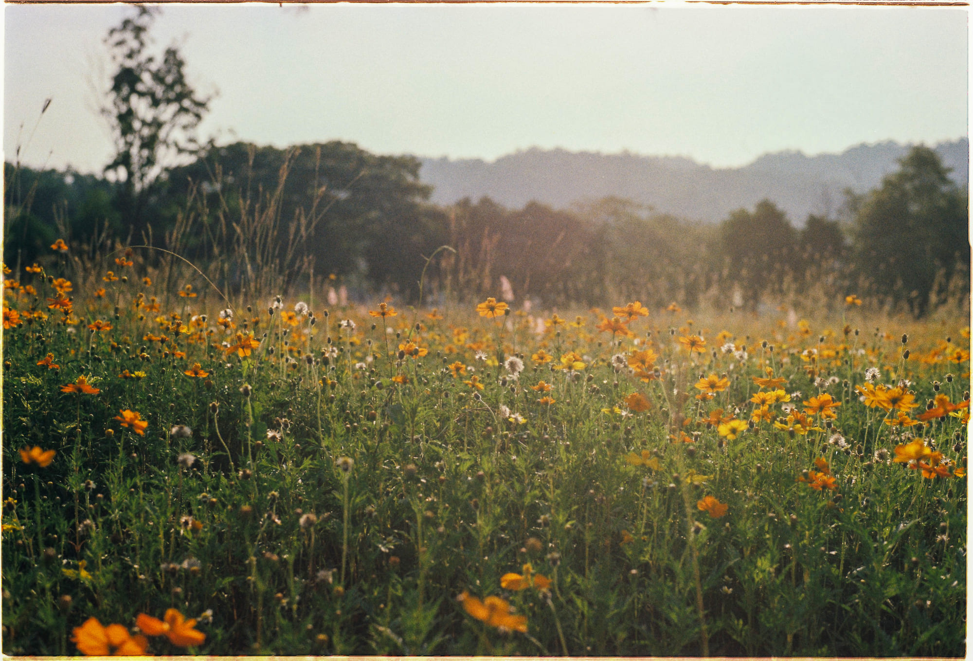 Giảm rác thải nhựa có tốt cho môi trường không? 568 – viet lach, nghien cuu, moi truong, anti plastic, giam rac thai nhua, giam nhua, chinh sach giam rac thai nhua, chinh sach, o nhiem moi truong, than nhien moi truong.