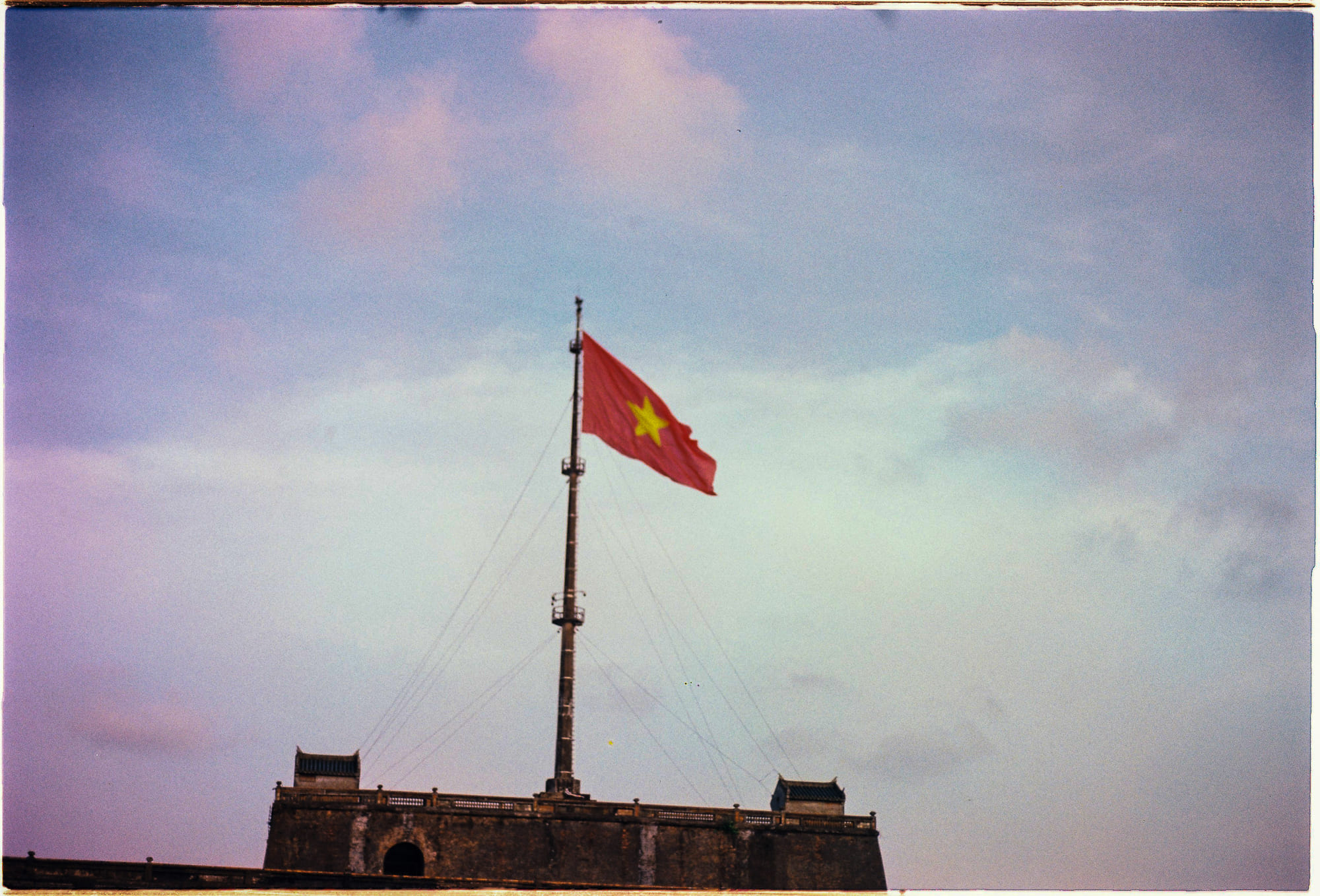 Cây gỗ đỏ có hai loại lá khác nhau 383 – khoa hoc, thien nhien, cay go do, phan biet cay go, la do, trai dat, thuc vat, thien nhien, cay rung, nhung cay go do.