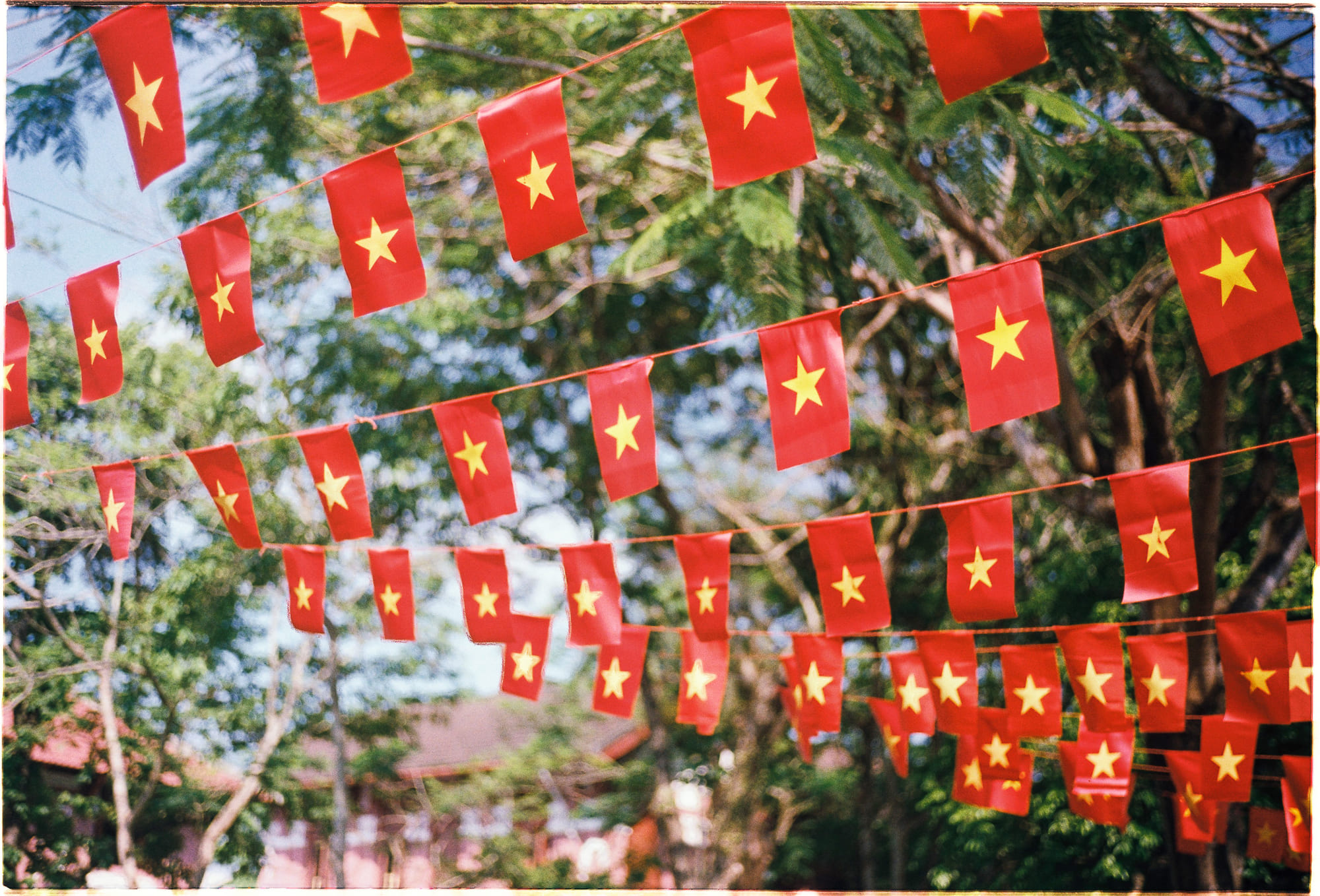 Đại dịch 1957 bị ông bà bạn quên mất 868 – khoa hoc, lich su, dai dich, dai dich 1957, dai dich lang quen.