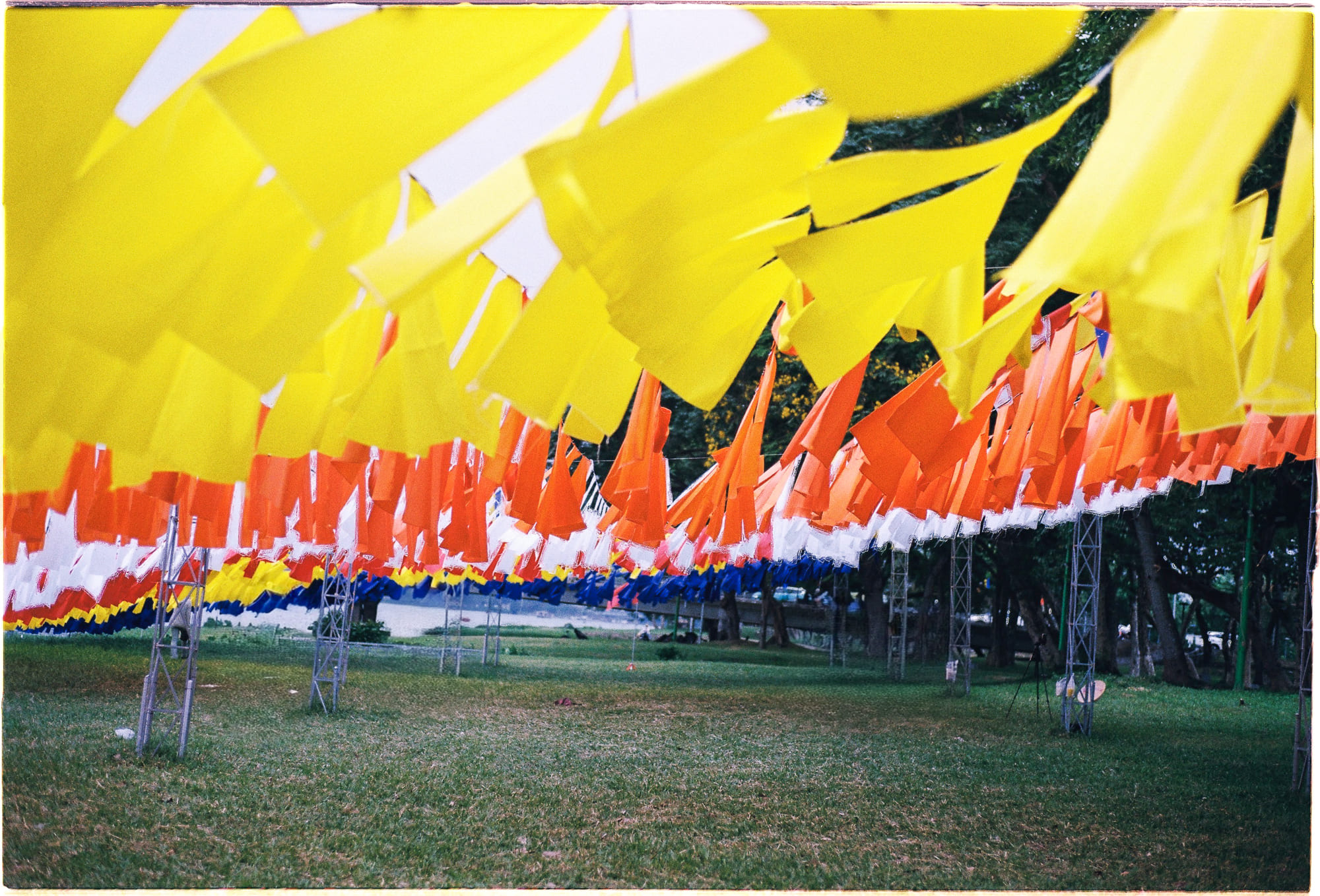 Rừng ma lan rộng khi mực nước biển dâng 719 – khoa hoc, thien nhien, rung ma, rung nhiet doi, suy thoai rung, bien doi khi hau, nuoc bien dang cao, rung ma khong gian.