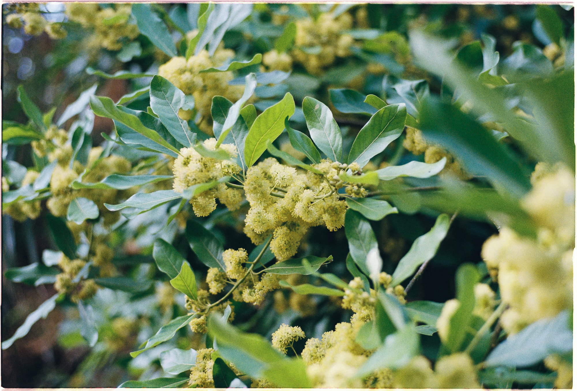 Đạo đức khi chen chân xếp hàng 542 – xa hoi hoc, tam ly hoc, tu duy, dao duc hoc, deontological, consequentialism, dao duc xep hang.