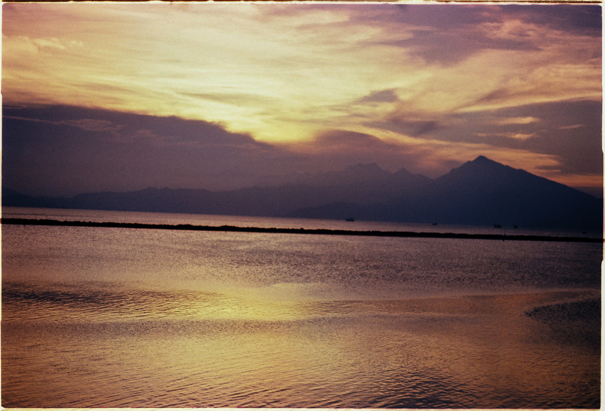 Vì sao lịch sử có nhiều người mẹ hơn người cha 003 – khoa hoc, sinh hoc, sinh san, ca the duc, ca the cai, ty suat nu gioi.