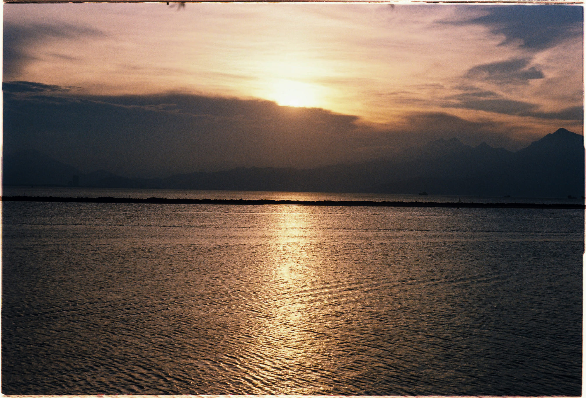 Vi nhựa có thực sự hủy hoại sức khỏe của chúng ta? 356 – khoa hoc, moi truong, suc khoe, sinh hoc, moi truong, vi nhua, rac thai nhua, vi nhua anh huong.