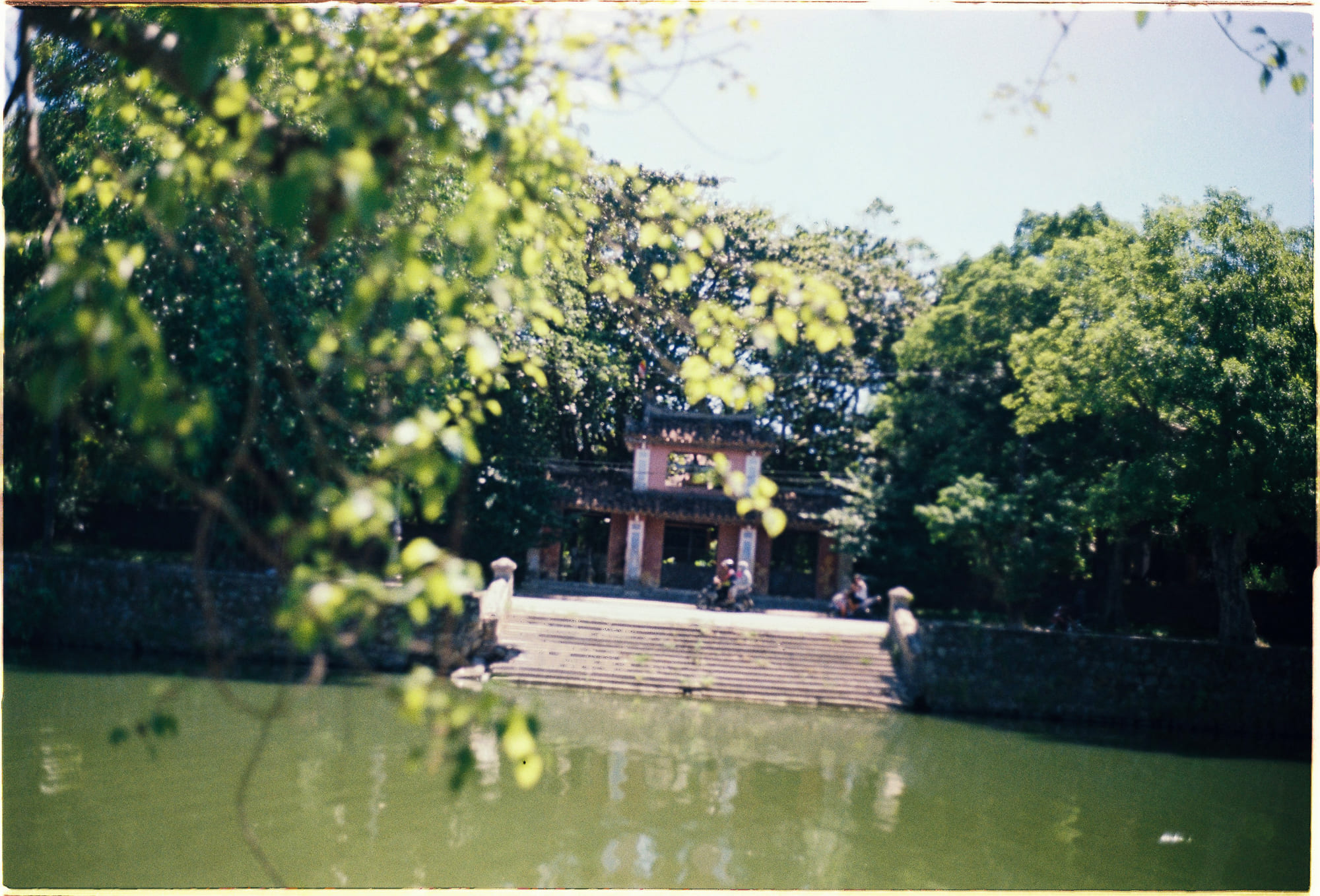 Nhận thức cái chết và trí thông minh động vật 758 – khoa hoc, dong vat, cai chet, nhan thuc cai chet, dong vat nhan thuc cai chet.