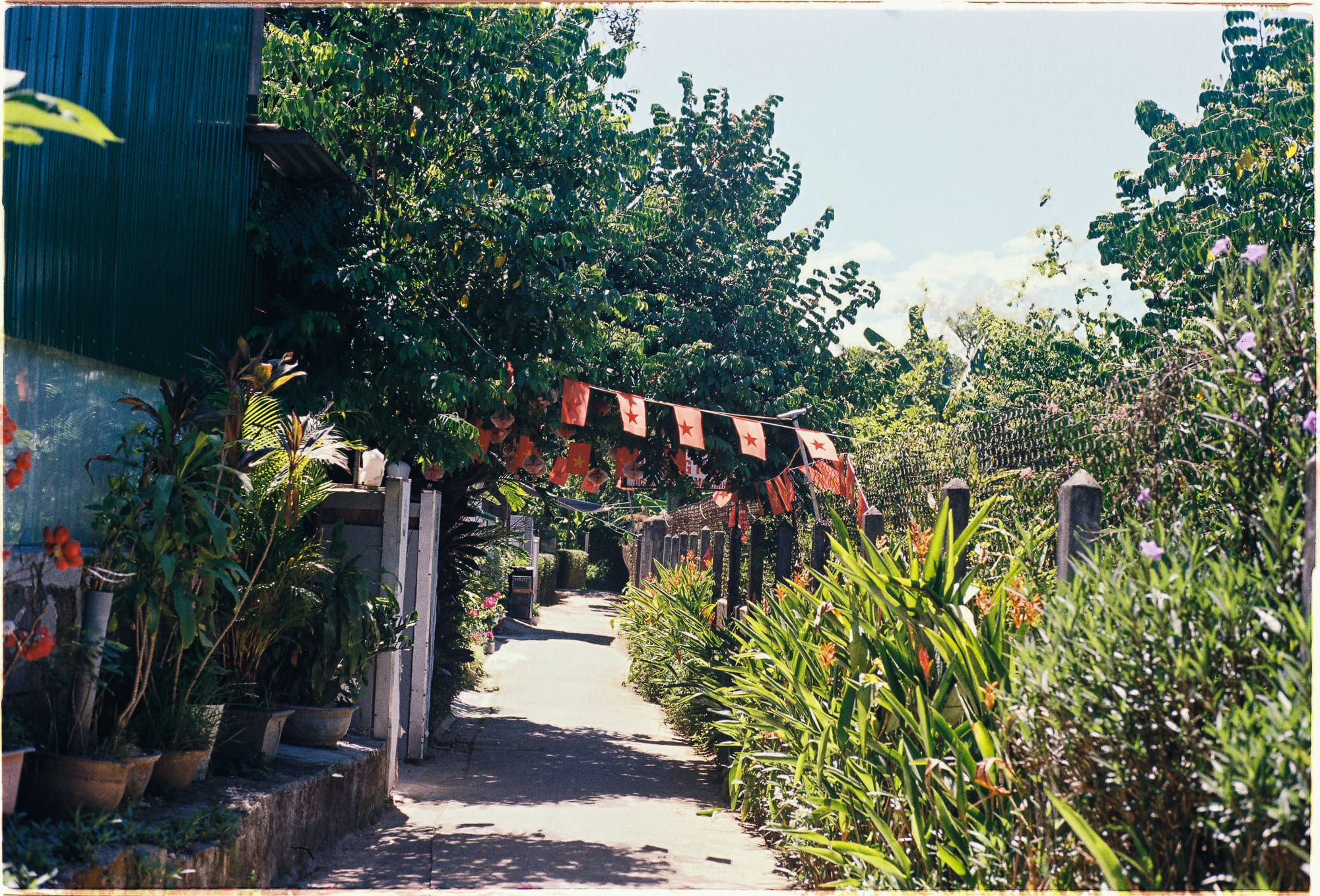 Diễn từ Nobel Văn học 2025 – Phẩm giá loài người, László Krasznahorkai 763 – nobel, nobel van hoc, nobel van hoc 2025, laszlo krasznahorkai, dien tu nobel van hoc, dien tu nobel, dien tu nobel van hoc 2025, dien tu van hoc 2025.