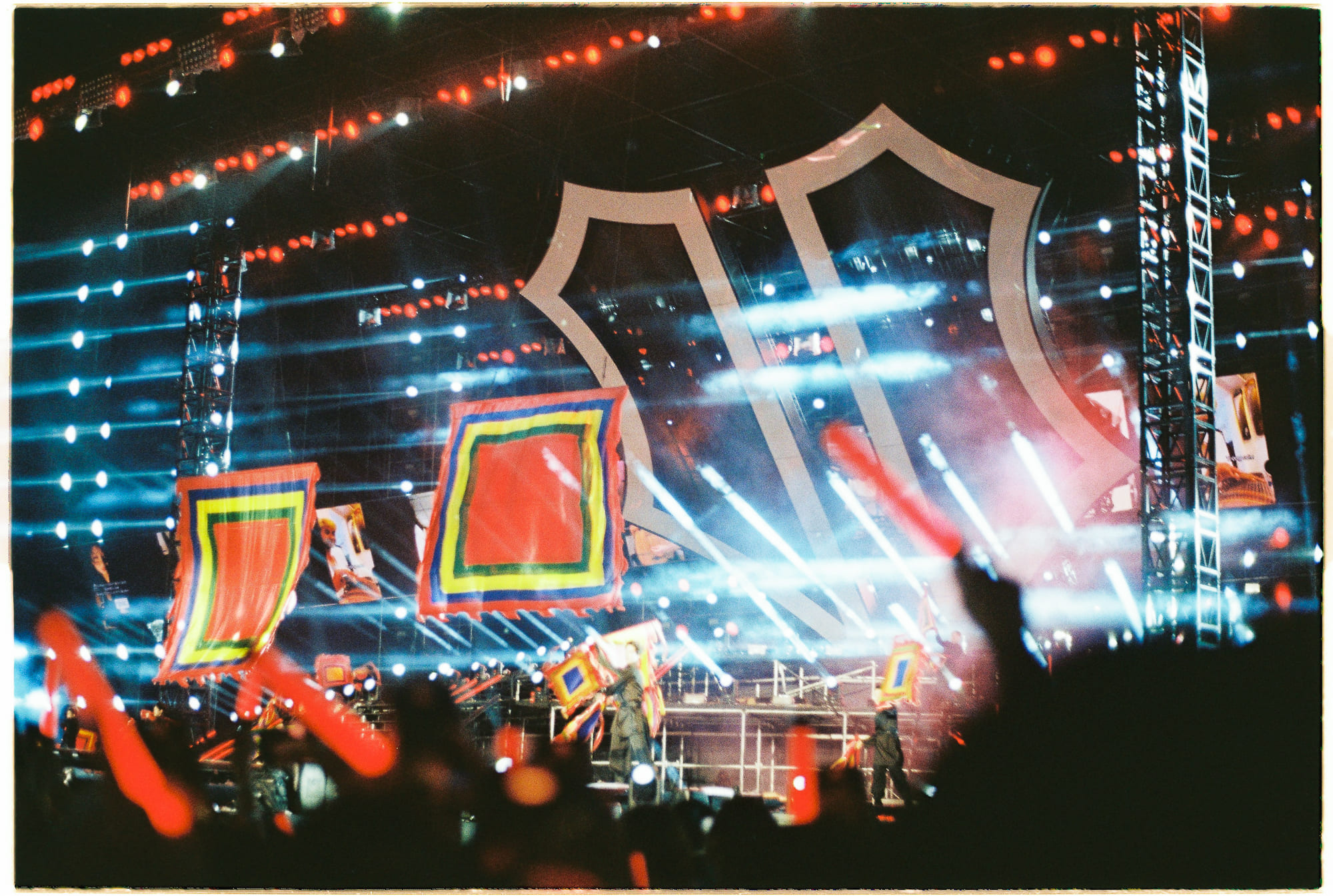 Các loài chim có ngôn ngữ không? 395 – khoa hoc, dong vat, tien hoa, loai chim, ngon ngu loai chim.