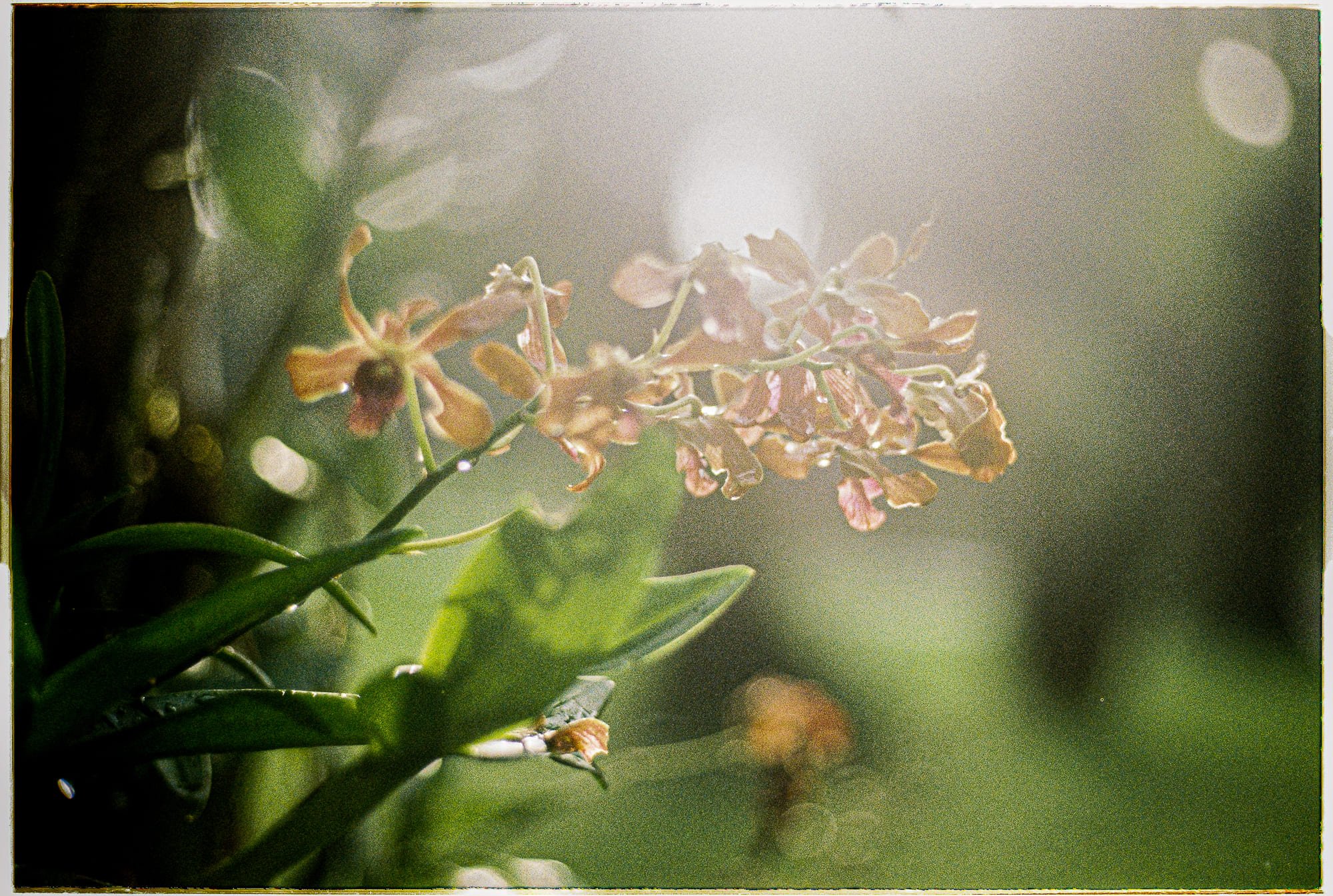 4 câu trả lời triết học về ý nghĩa của cuộc sống 274 – tam ly hoc, vu tru hoc, triet hoc, nhan thuc, y nghia cuoc song, chu nghia hien sinh, chu nghia phi ly, chu nghia hien sinh ton giao.