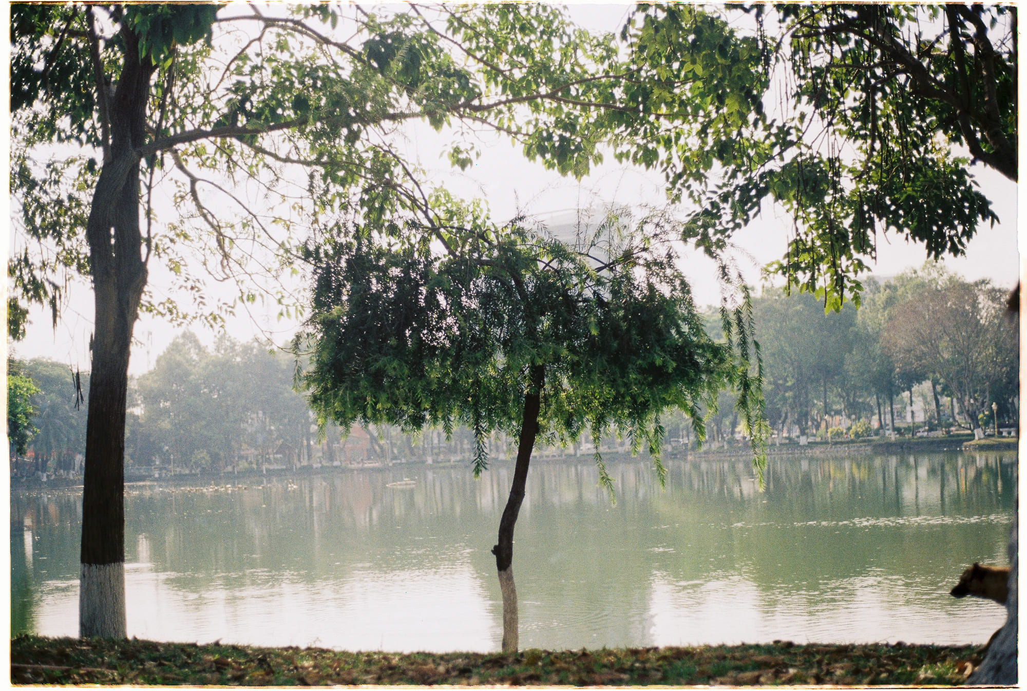 Bản ngã là gì? 494 – xa hoi hoc, tam ly hoc, tu duy, triet hoc, panpsychism, chu nghia hien sinh, ban nga, cai toi.