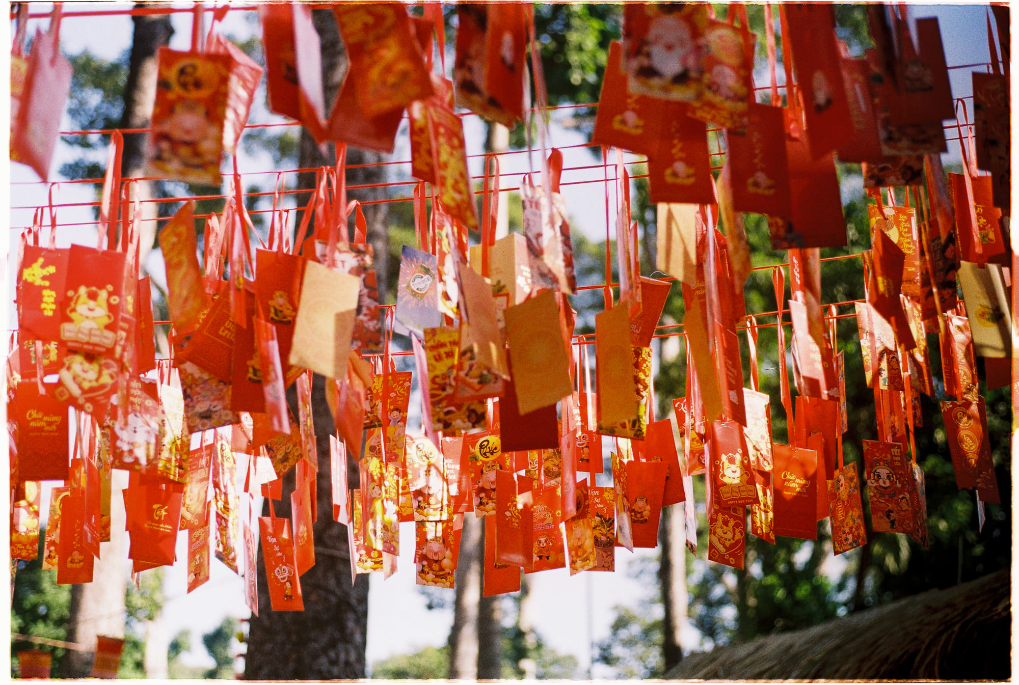 Chạy mãi không ngừng trong rừng Chạy mãi không ngừng trong rừng 823 – khoa hoc, suc khoe, chay bo, chay bo trong rung.