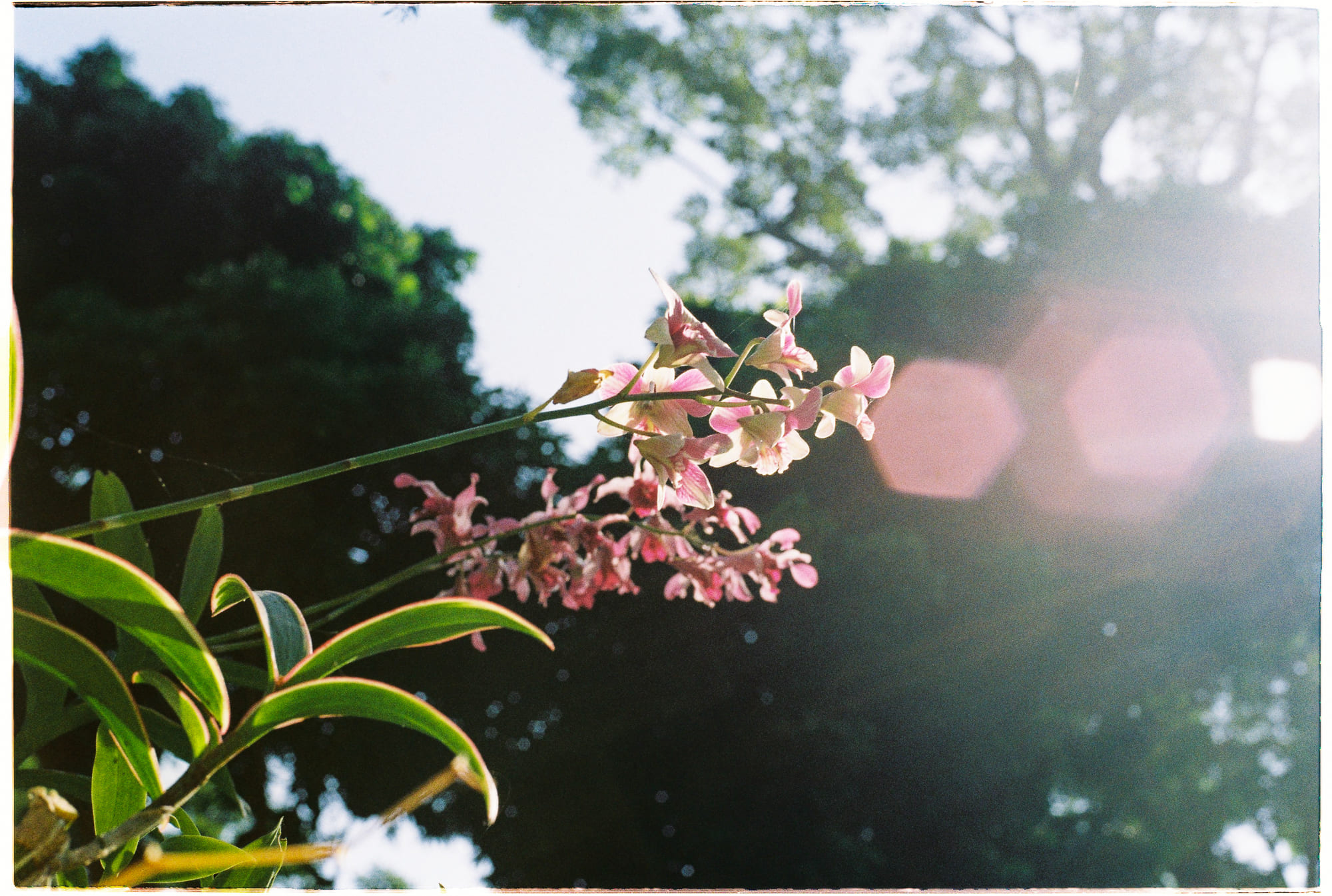 Đứt gãy ký ức và xói mòn bản sắc địa phương dưới áp lực đô thị hóa 123 – viet lach, nghien cuu, nghien cuu van hoa, van hoa, y thuc con nguoi, nhan hoc, ban sac dan toc, di cu, di cu van hoa, di cu lao dong, cultural double bind, anthropology, collective memory, national identity, cultural migration, cultural disconnection, cultural double bind, cultural tension, cultural resettlement, indigenous community, ky uc tap the, mat ket noi van hoa, cang thang van hoa, tai dinh cu van hoa, cong dong ban dia, di san song va su bien doi van hoa trong doi song duong dai, ban sac tan phai.