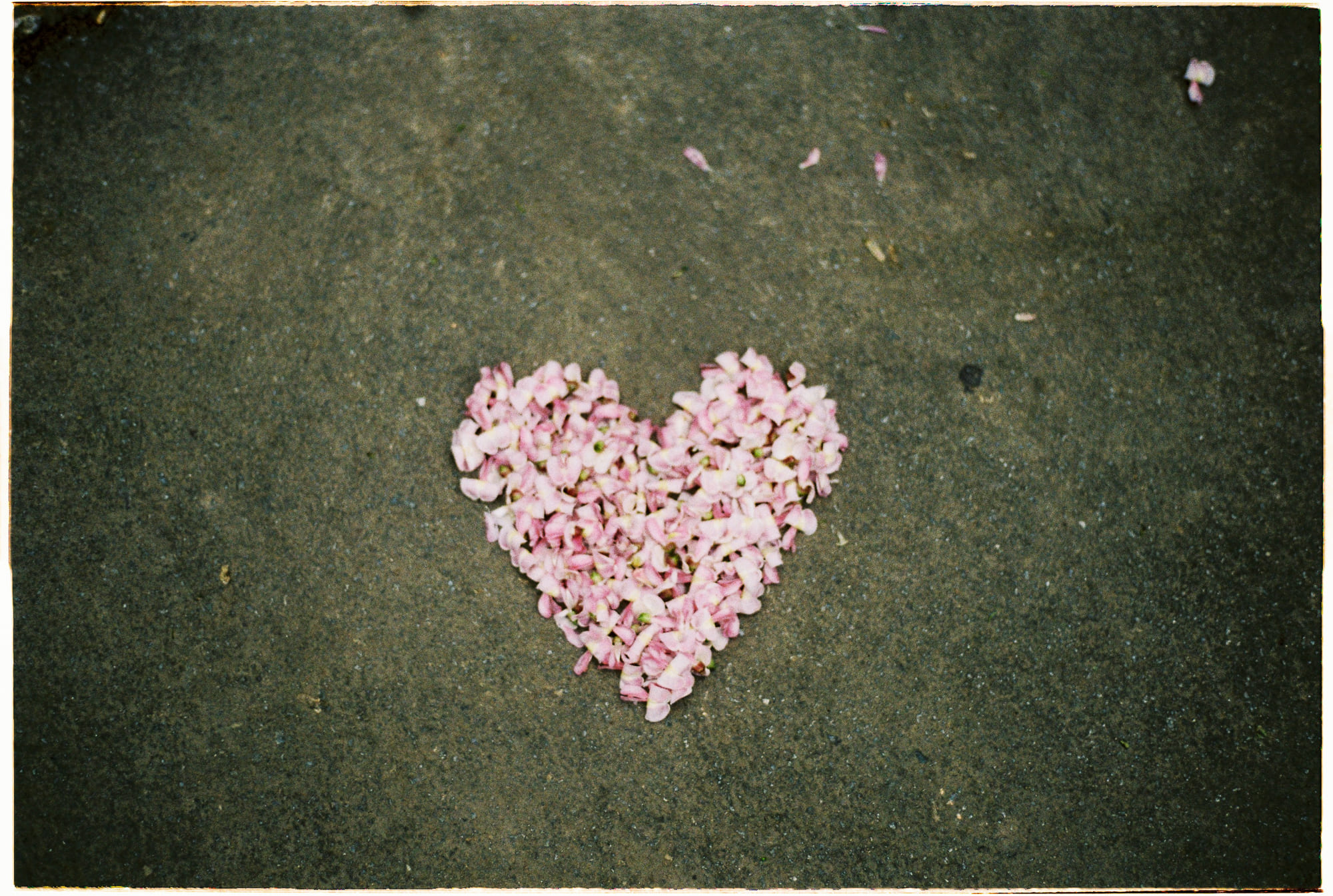 5 câu trích dẫn triết học bị hiểu lầm nhiều nhất 634 – xa hoi hoc, tam ly hoc, tu duy, triet hoc, hieu biet sai lech, nietzsche, ockham, marxist, karl marx, rousseau, descartes, trich dan sai lech.