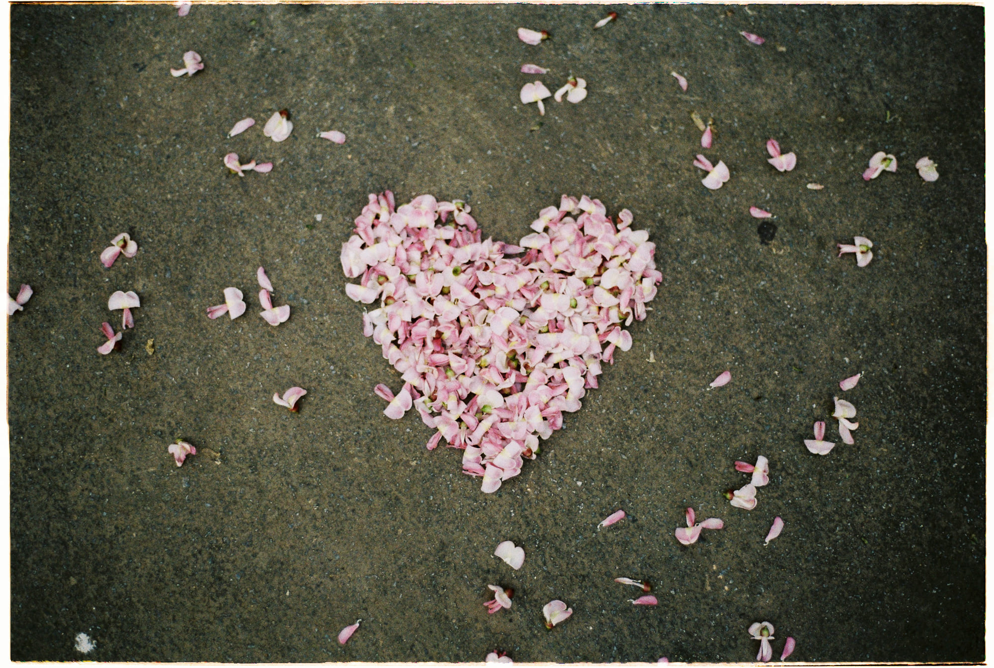 Người Maya suy tàn vì khao khát thủy ngân 654 – khoa hoc, lich su, maya, thuy ngan, o nhiem moi truong, khao khat thuy ngan.