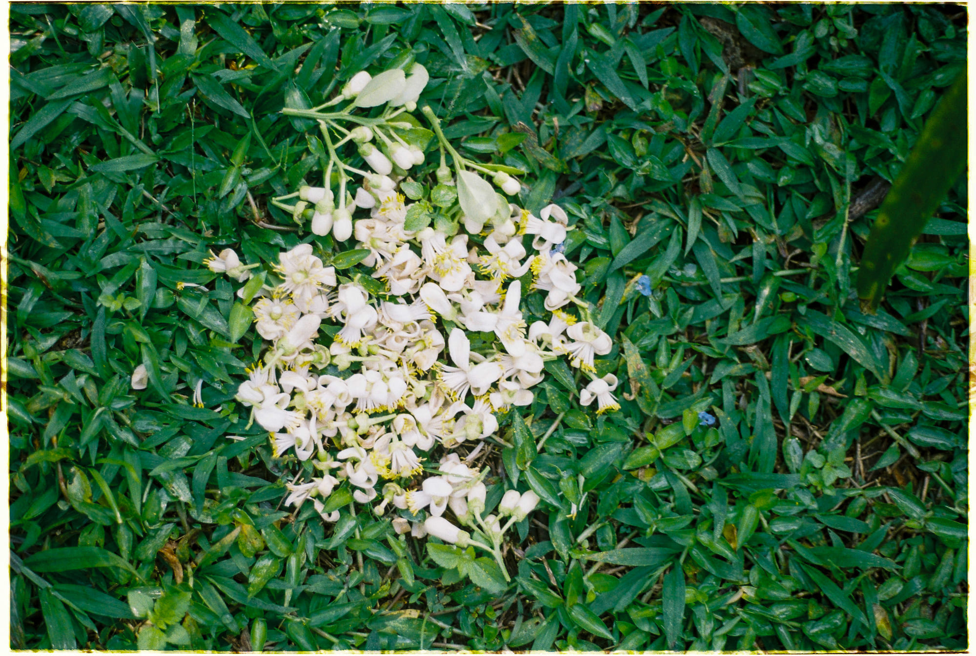 7 định hướng giúp củng cố mối quan hệ cá nhân 342 – phat trien ban than, khoa hoc, ky nang, ky nang chuyen mon, thanh cong, tam ly hoc, nhan thuc ban than, cai thien ban than, moi quan he ca nhan, cung co quan he.