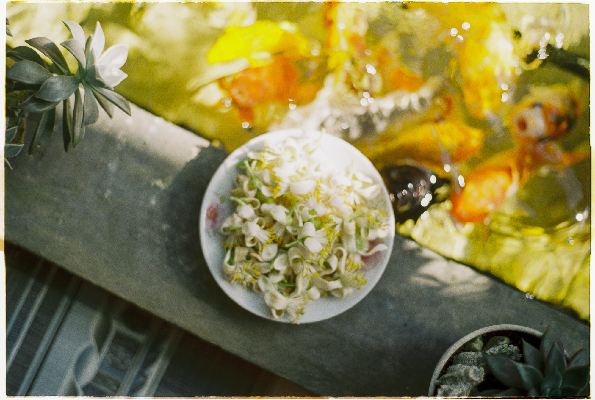 Vũ trụ giãn nở – Tất cả hoặc không có gì? 430 – khoa hoc, vu tru, vat ly thien van, khoa hoc vu tru, vat ly luong tu, vu tru gian no, vu tru sup do.