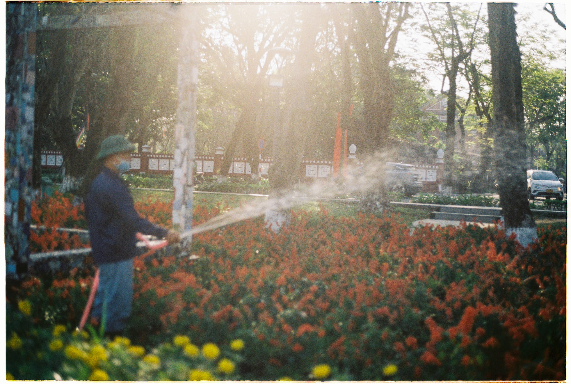 Freud và Đức Phật tranh luận về ham muốn 811 – tam ly hoc, ton giao, phat giao, freud, duc phat, doi pho ham muon.