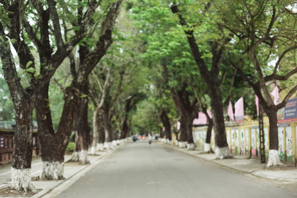 Hãy mạnh mẽ trong những nơi tổn thương trong hành trình với bệnh Alzheimer