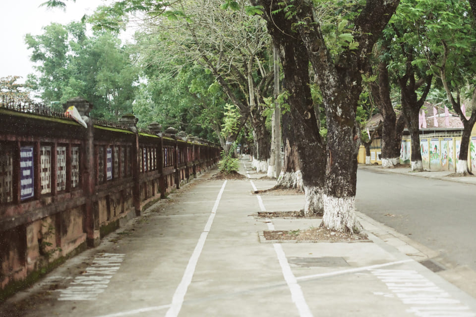 Mối liên hệ ngày càng tăng giữa vi khuẩn, tâm trạng và sức khỏe tâm thần