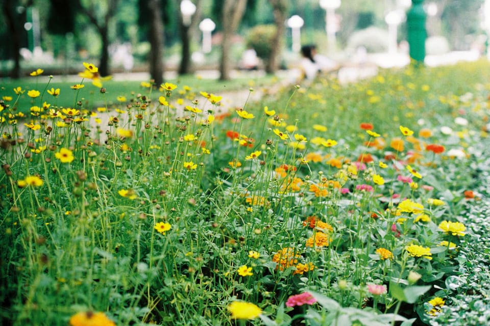 Cuộc săn lùng tàu tháng 10 đỏ | Chương 24