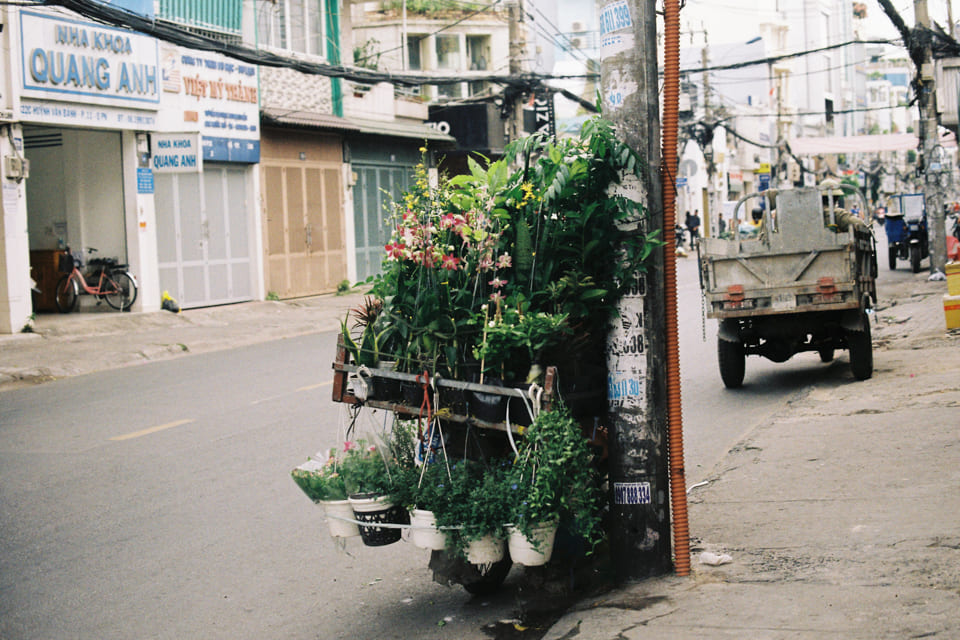 An nhiên trong cơn mưa