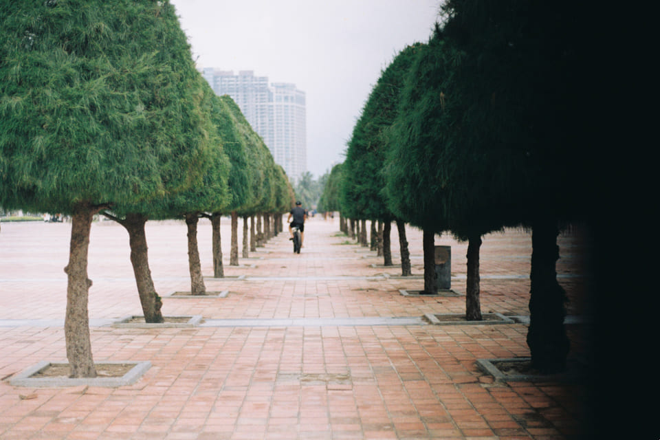 Tâm lý học của nhà ngoại cảm