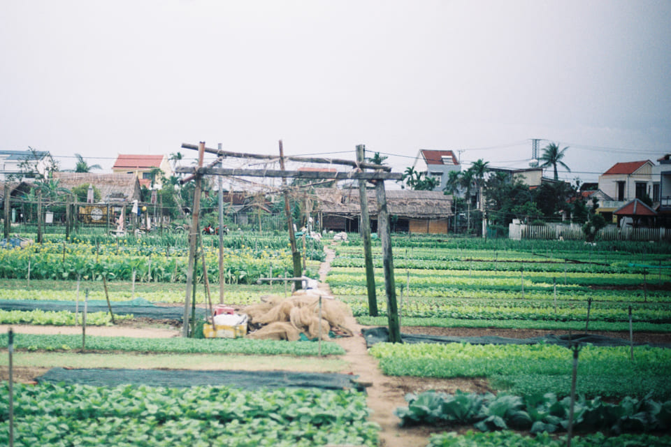 Dấu răng của thời gian